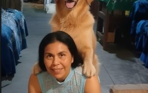 Meti a este perrito como que quiere algo